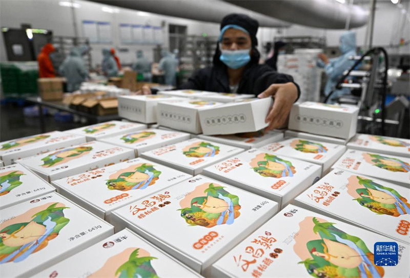 Hainan : l'industrie du poulet de Wenchang crée une valeur de production totale de 12 milliards de yuans