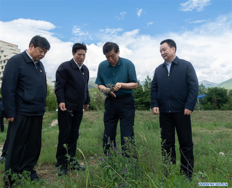 Le plus haut législateur chinois met l'accent sur la protection écologique sur le plateau Qinghai-Tibet