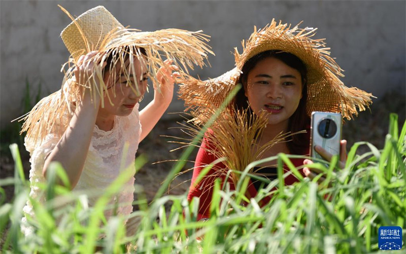 Shandong : comment les villageois de Tancheng se sont enrichis en tissant des herbes jaunes