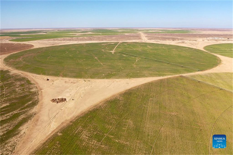 Comment une entreprise chinoise de forage de puits aide à transformer le désert égyptien en terres agricoles vertes