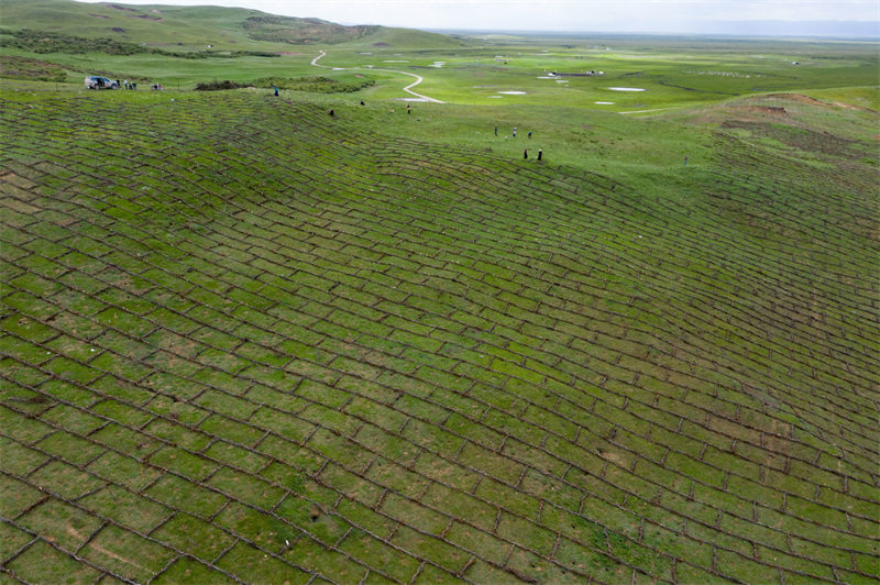 Sichuan : la lutte contre la dégradation et la désertification des prairies