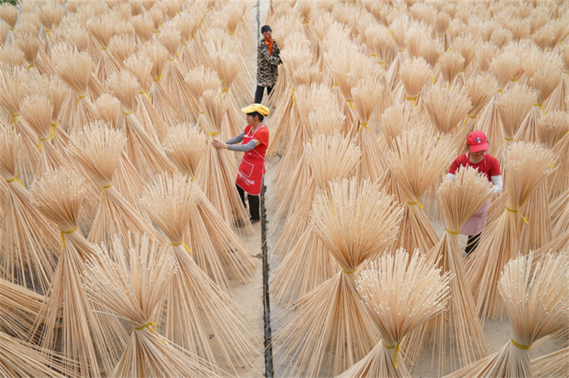 Le séchage des produits semi-finis de bambou dans le Jiangxi