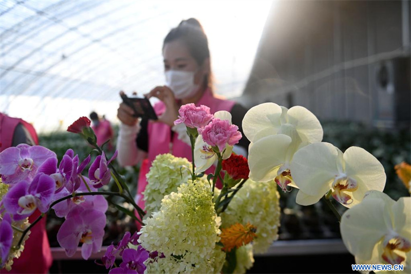 Chine : industrie de l'horticulture à Rizhao au Shandong