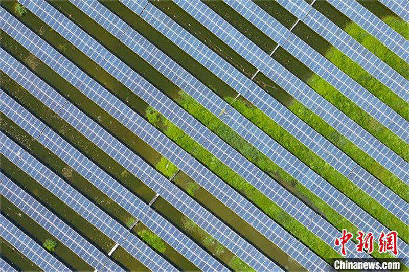 Jiangsu : la production d'énergie photovoltaïque sur le modèle « la pêche et l'éclairage » à Changzhou