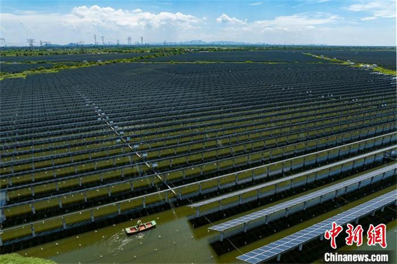 Jiangsu : la production d'énergie photovoltaïque sur le modèle « la pêche et l'éclairage » à Changzhou