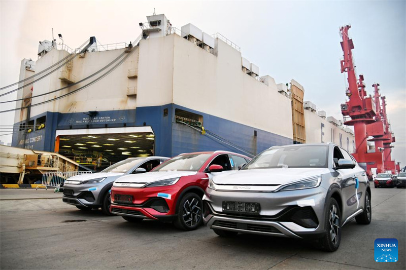 Le volume des exportations de véhicules commerciaux du port de Qingdao a augmenté de plus de 90% d'une année sur l'autre