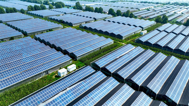 Anhui : le modèle « photovoltaïque + agriculture » stimule l'économie verte à Bozhou