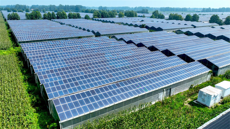 Anhui : le modèle « photovoltaïque + agriculture » stimule l'économie verte à Bozhou