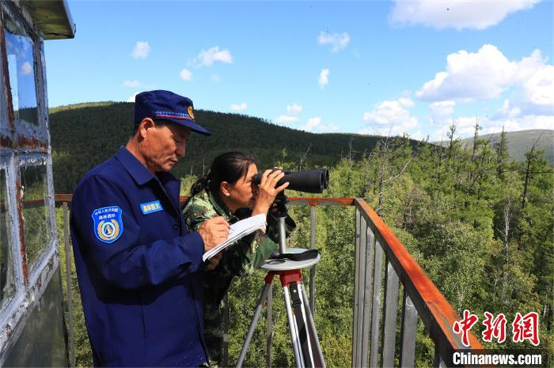 Mongolie intérieure : un couple de guetteurs garde 470 000 mu de forêt