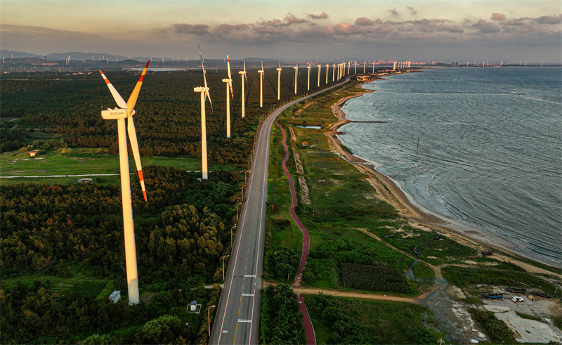 Le développement de l'énergie éolienne côtière à Rongcheng, dans le Shandong