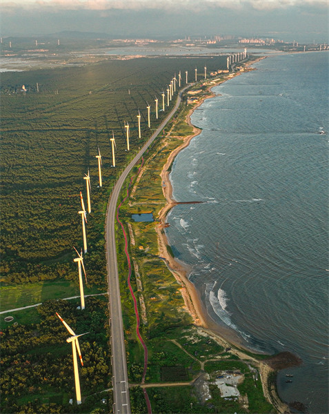 Le développement de l'énergie éolienne côtière à Rongcheng, dans le Shandong