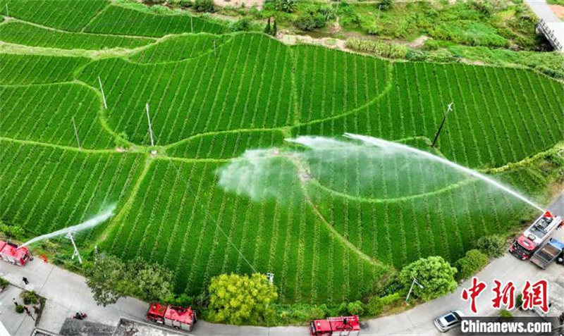 Jiangxi : diverses mesures prises pour lutter contre la sécheresse pour assurer la production agricole à Pingxiang