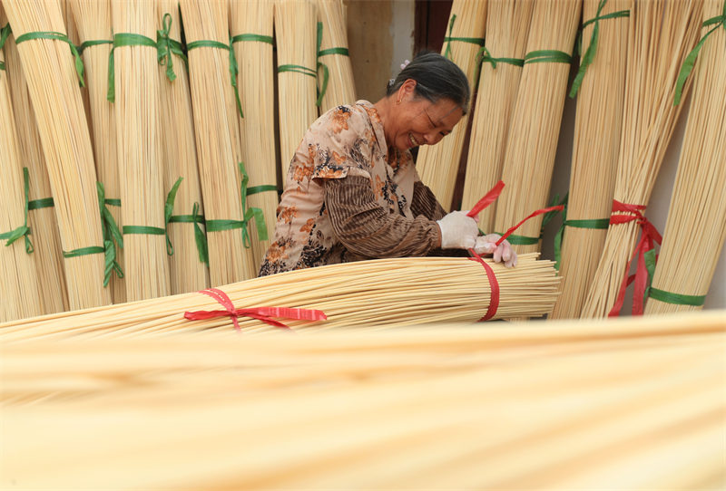 Jiangxi : un développement actif de la transformation poussée du bambou moso