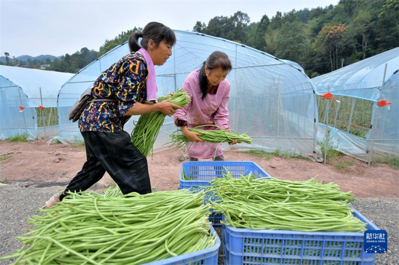 Un nouveau paysage de la revitalisation rurale de la Chine