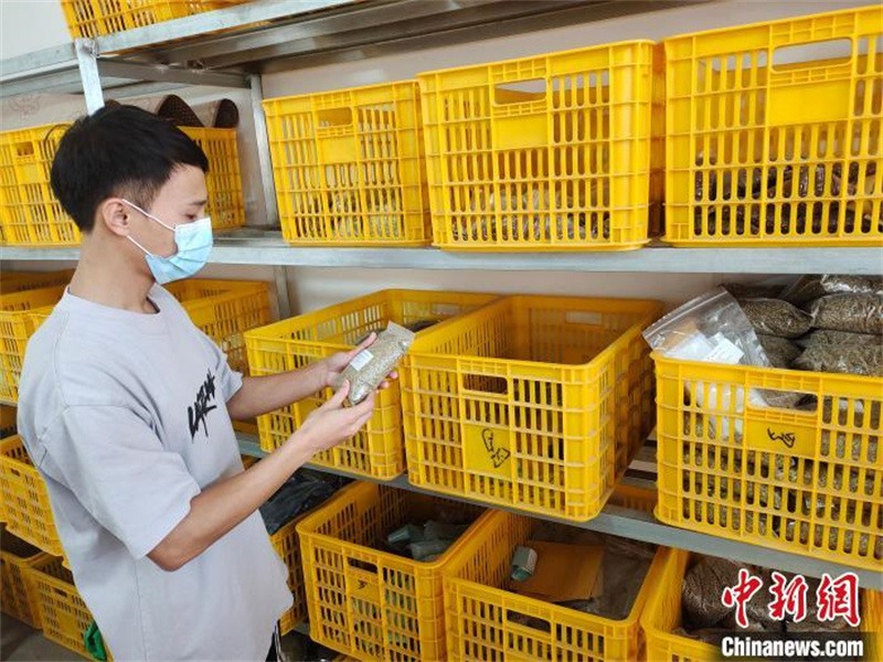 Guangxi : 80% des épices de Chine sont distribuées à partir de Yulin, la « capitale des parfums du Sud »