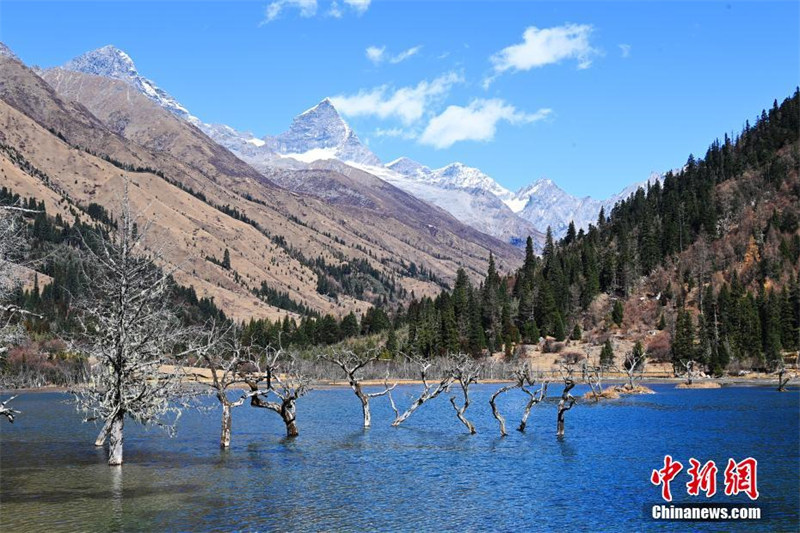 Le paysage pittoresque de la vallée de Shuangqiao du mont Siguniang, dans le Sichuan