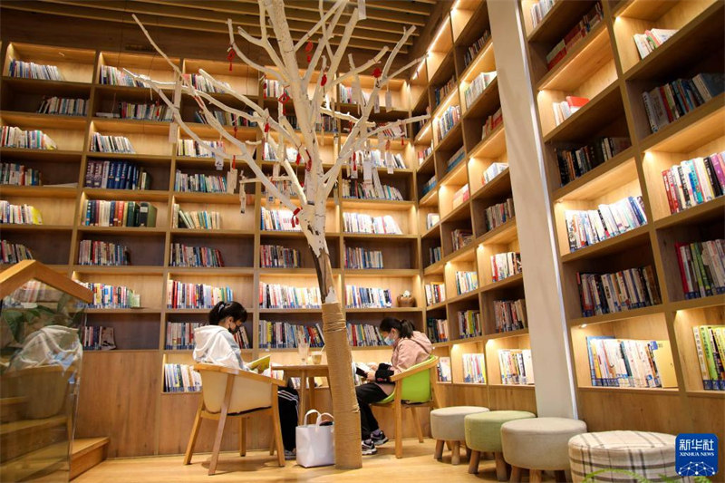 Anhui : savourer la lecture dans une bibliothèque du plaisir