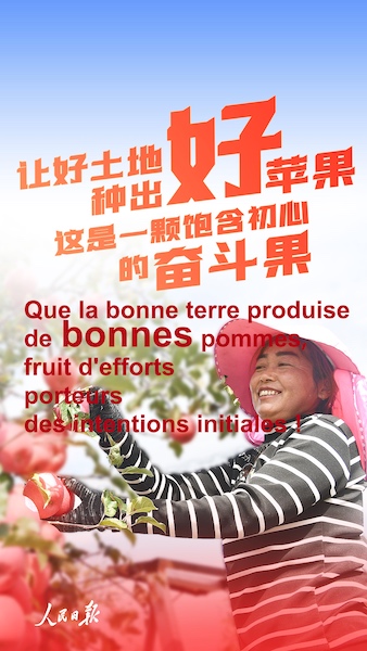 Pourquoi les pommes de Yan'an sont-elles si populaires ?