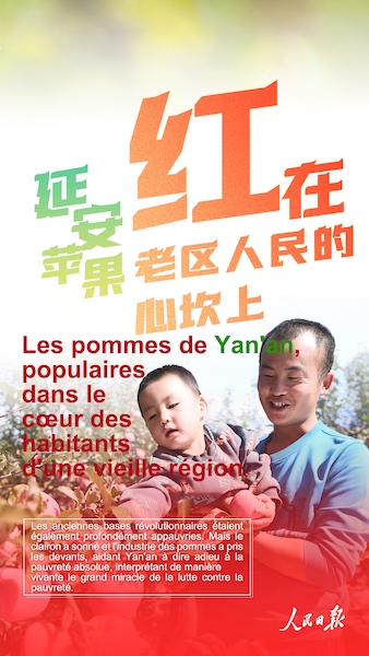 Pourquoi les pommes de Yan'an sont-elles si populaires ?