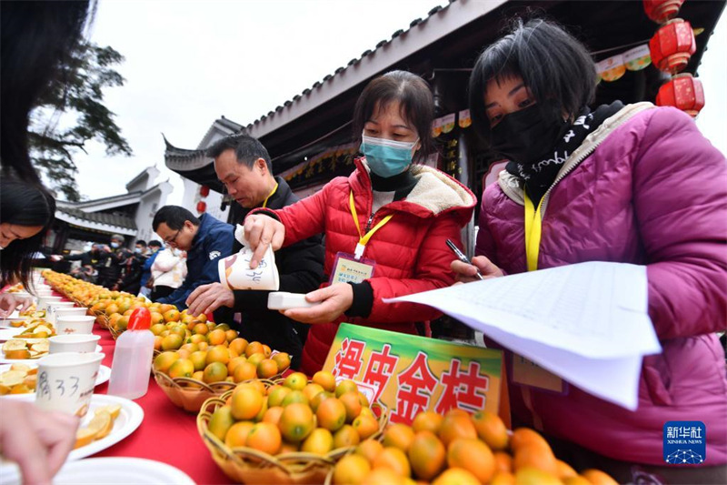Guangxi : Rong'an sélectionne le « Roi des kumquats » pour aider à revitaliser l'industrie