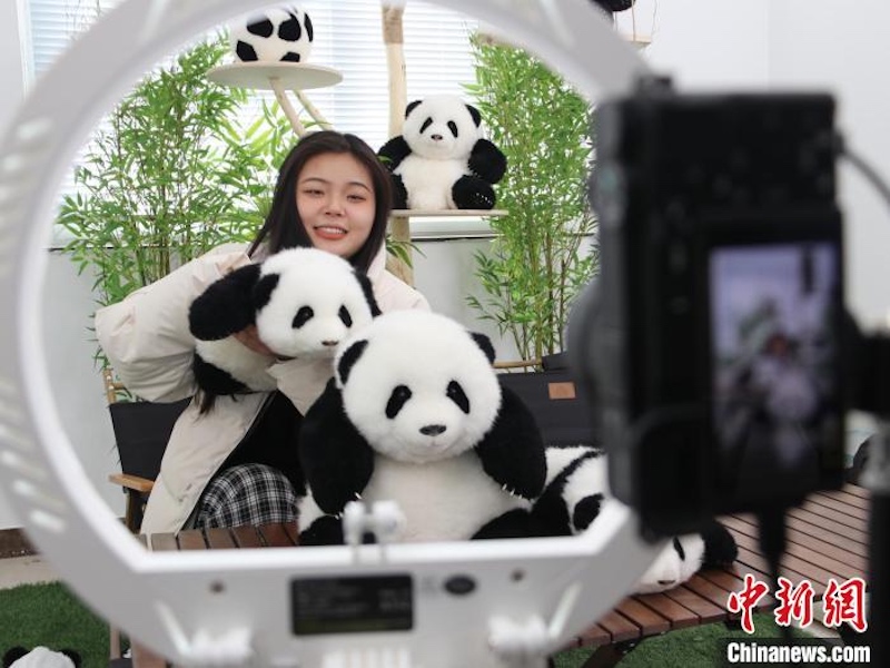 Shandong : les jouets en peluche fabriqués à Heze se vendent bien à l'étranger