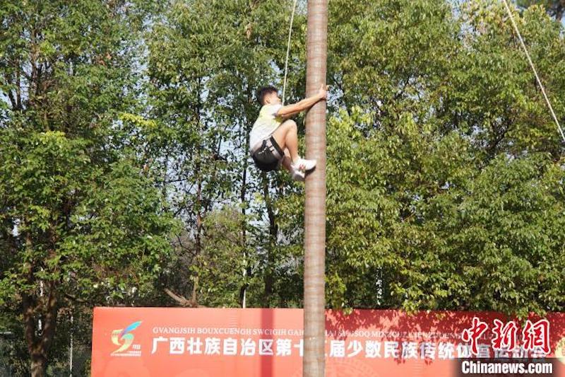 Grimper aux cocotiers, une épreuve spéciale des Jeux sportifs traditionnels des minorités du Guangxi