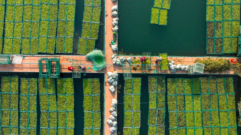 Zhejiang : un potager sur l'eau occupé par la « préparation de la terre » à Chun'an