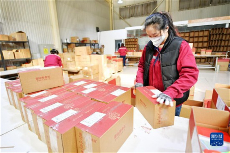 Ningxia : l'industrie des baies de goji inaugure un « bon départ » cette année