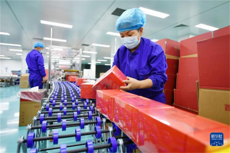 Ningxia : l'industrie des baies de goji inaugure un « bon départ » cette année