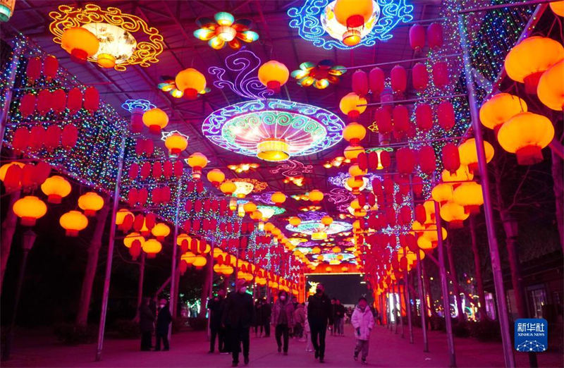 Shandong : des lanternes brillantes pour célébrer la Fête des Lanternes à Zibo