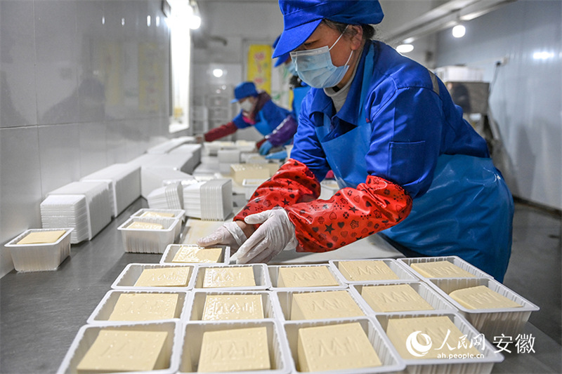 Anhui : le « village du tofu » de Huainan, de petits ateliers familiaux transformés en une zone de démonstration standardisée