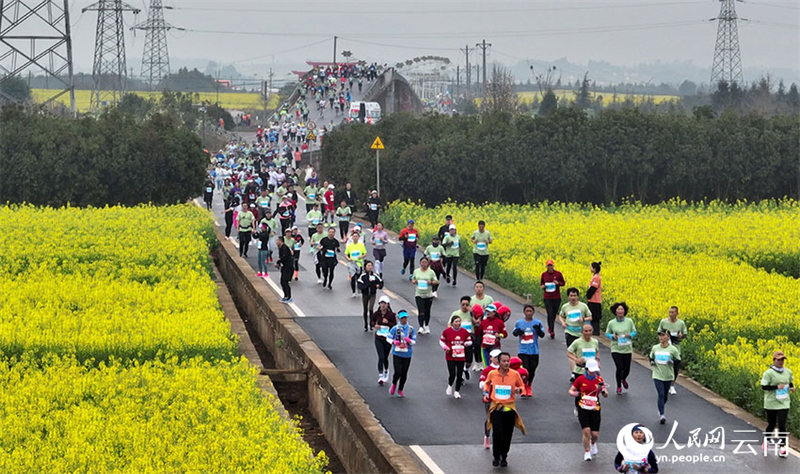Yunnan : des marathons organisés au milieu d'une mer de fleurs de colza