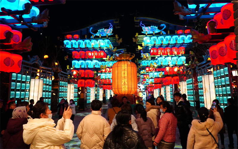 Shandong : l'économie nocturne anime Dongping