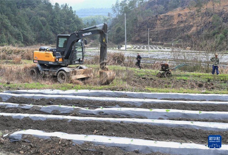 Fujian : un nouveau modèle de gestion des terres abandonnées activement exploré à Zhaili