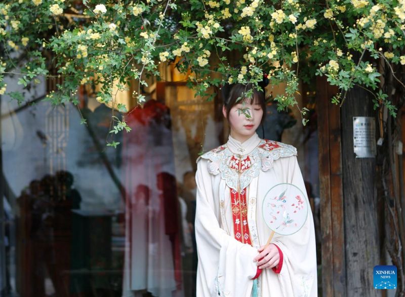 Les touristes profitent du Festival Qingming dans toute la Chine