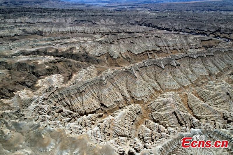 Photo montrant un paysage unique de la forêt de terre de Zanda, dans le comté de Zanda de la région autonome du Tibet (sud-ouest de la Chine). (Li Lin / China News Service)