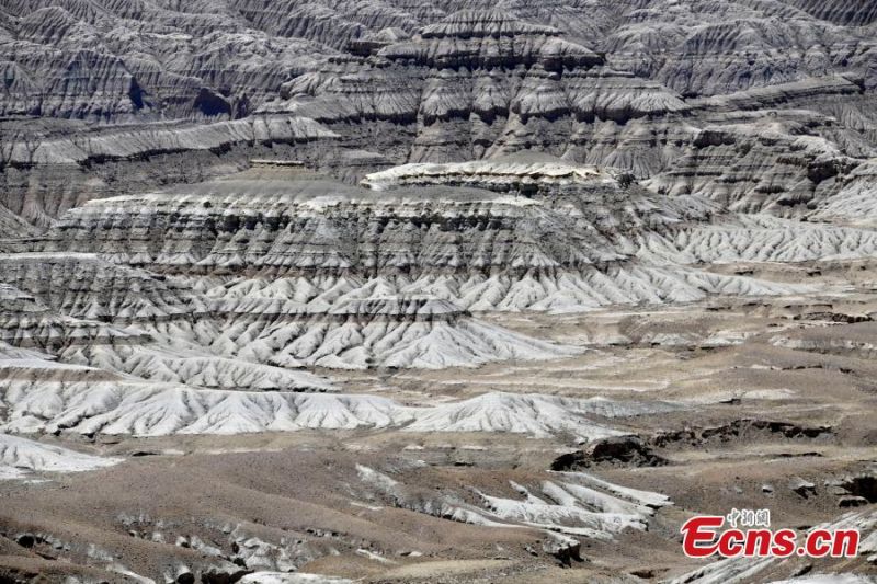 Tibet : le paysage unique de la « forêt de terre » de Zanda