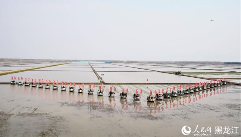 Heilongjiang : les repiqueuses autonomes optimisent l'efficacité des labours de printemps
