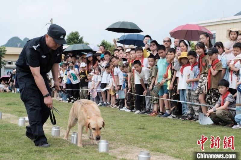 Guangxi : des élèves participent à un entraînement avec des chiens policiers