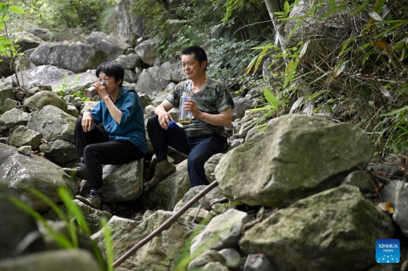 Anhui : un couple de gardes forestiers dévoué à la protection de la réserve naturelle de Tianma