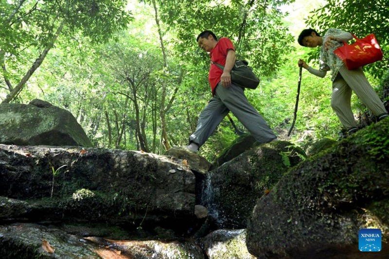 Anhui : un couple de gardes forestiers dévoué à la protection de la réserve naturelle de Tianma