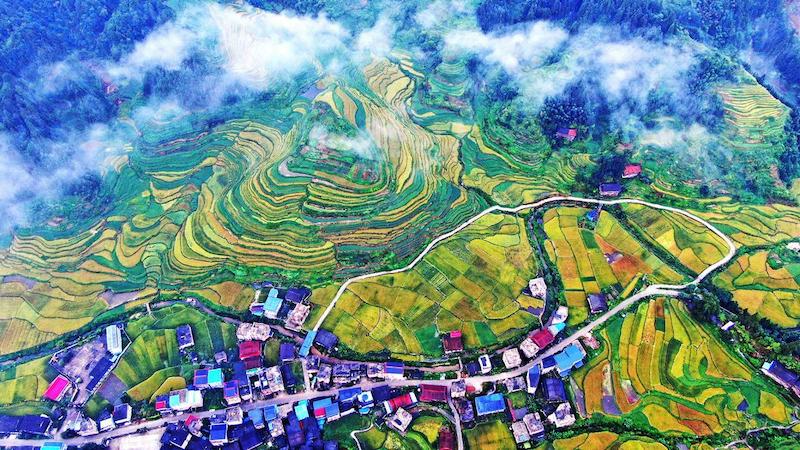 Guangxi : les vues pittoresques des champs aux ressources abondantes