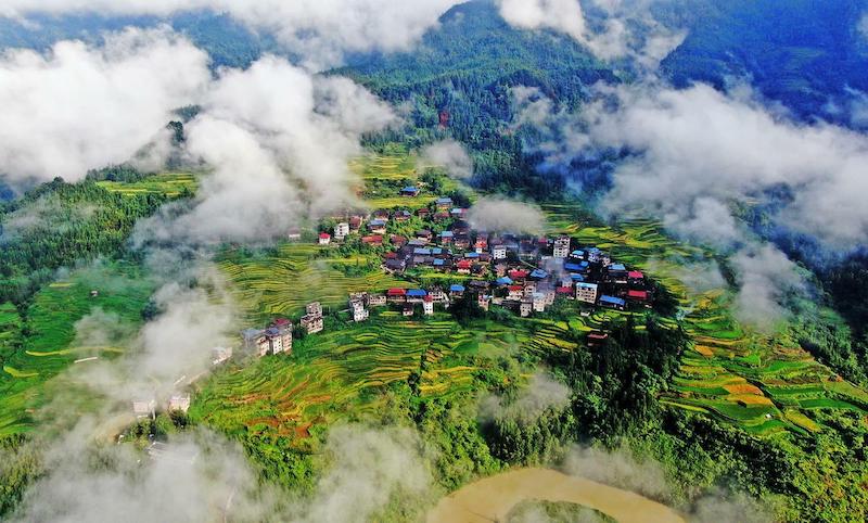 Guangxi : les vues pittoresques des champs aux ressources abondantes