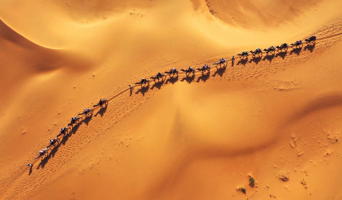 Photo aérienne montrant des touristes à dos de chameaux dans le désert de Tengger à Shapotou, dans la région autonome Hui du Ningxia (nord-ouest de la Chine). (Wang Peng / Xinhua)