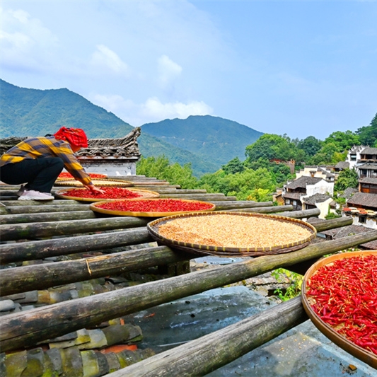 Jiangxi : des villageois font sécher leurs récoltes au soleil