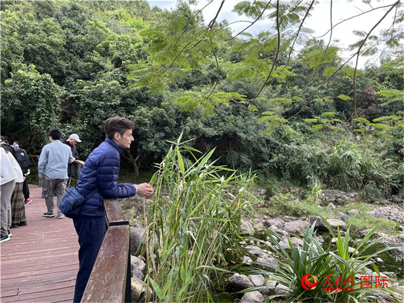 Guangdong : Le parc géologique national de la péninsule de Dapeng à Shenzhen, l'une des huit plus belles côtes de Chine