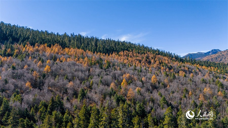 A l'approche de l'hiver, découvrez les paysages majestueux du parc national de Pudacuo