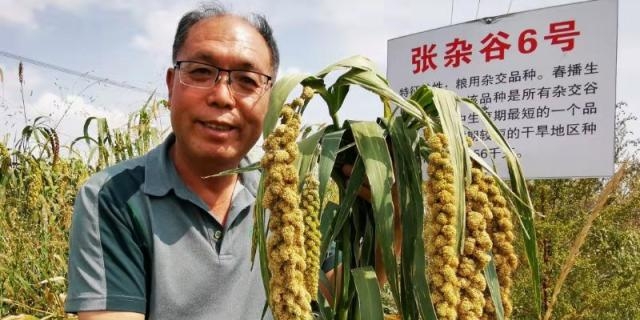 Pour Zhao Zhihai, chercheur agricole, l'automne est une période importante de l'année car c'est le moment où il peut récolter ce qu'il a planté et également semer des graines dans de nouveaux champs expérimentaux.