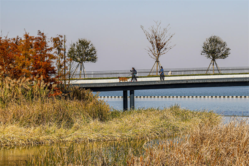 Shanghai : le pont Yuandang à marche ralentie est devenu un site touristique