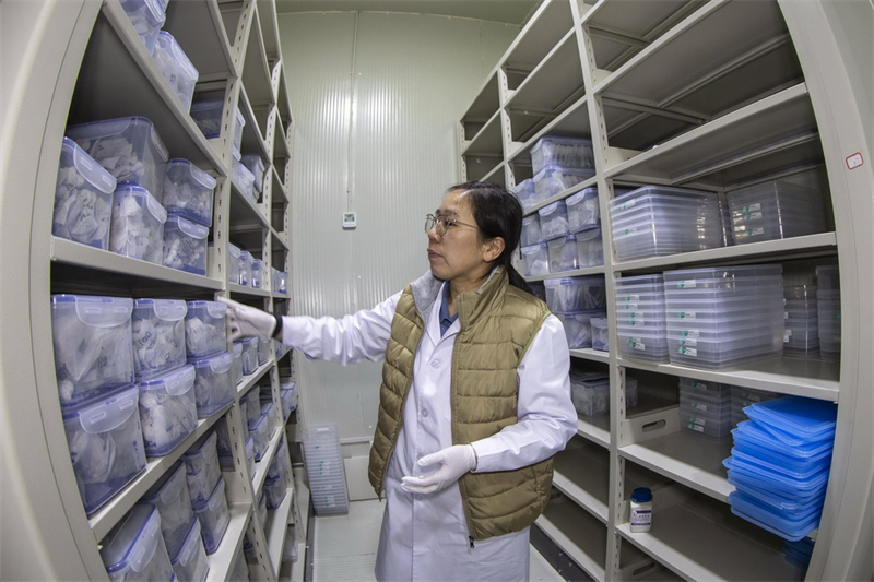 En visite à la première banque de ressources génétiques du Tibet